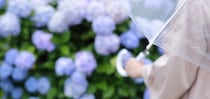 2026年の梅雨入りはいつ？大雨のリスクと今備えておくべきこと