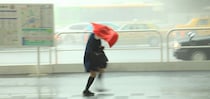 今年の台風は多い？少ない？エルニーニョとの関係や傾向を解説