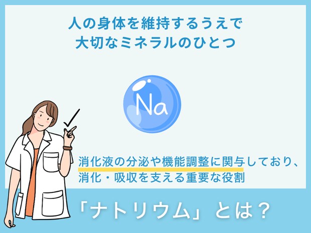 「ナトリウム」とは？