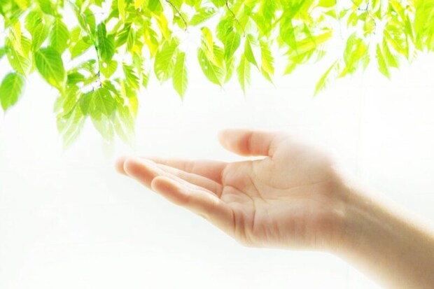 手と新緑