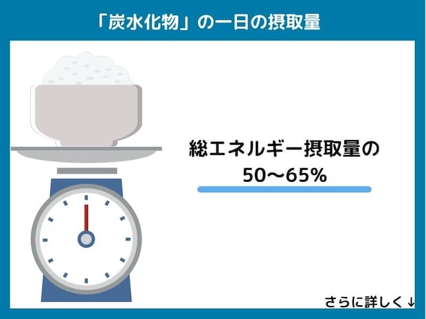 炭水化物の一日の摂取量