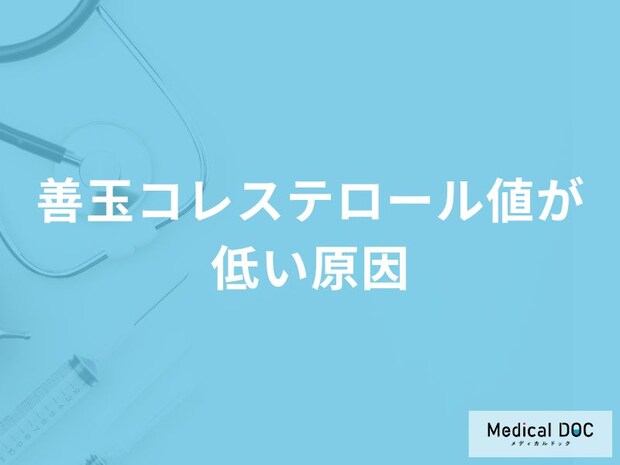 「善玉コレステロール値が低くなる5つの原因」はご存知ですか？医師が徹底解説！