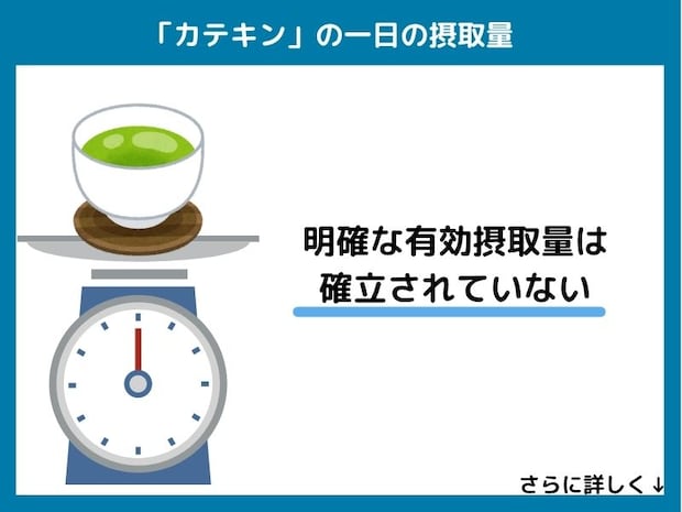 カテキンの一日の摂取量