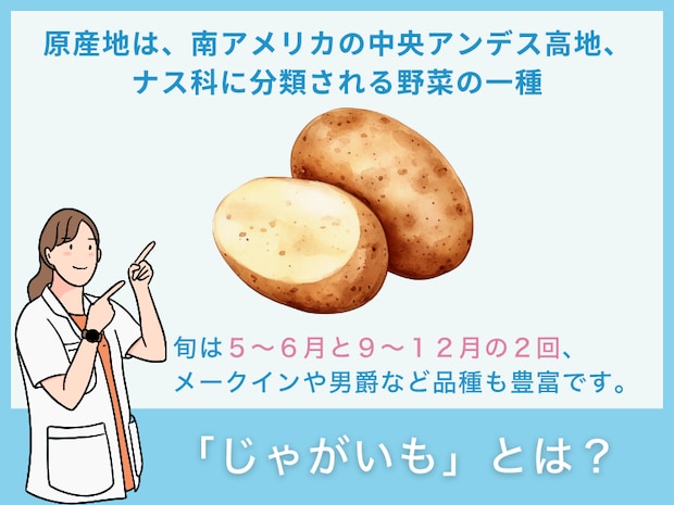 「じゃがいも」とは？