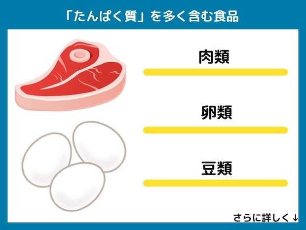 たんぱく質を多く含む食品