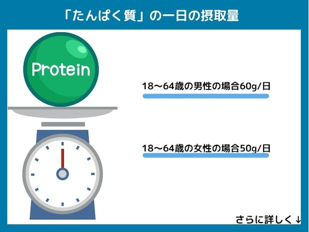 たんぱく質の一日の摂取量