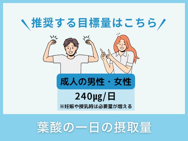 葉酸の一日の摂取量