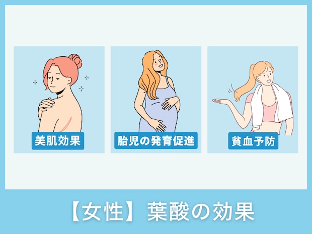 【女性】葉酸の効果