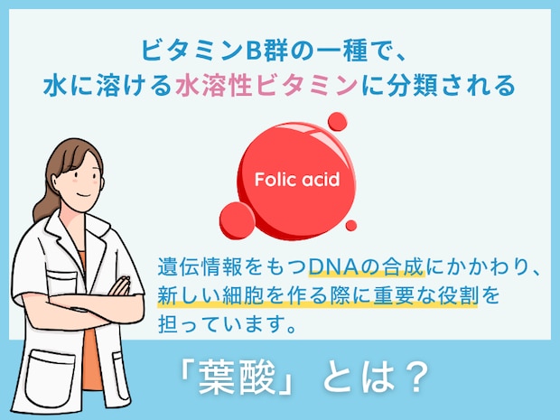 「葉酸」とは？
