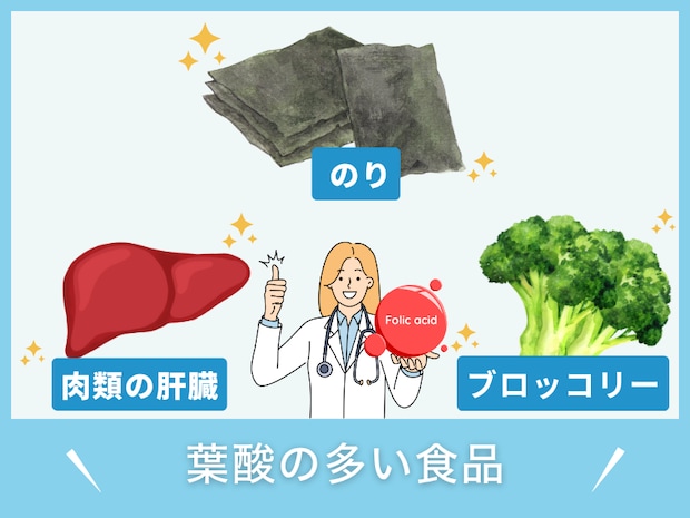 葉酸を多く含む食品