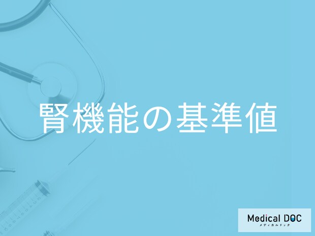 健康診断で「腎臓の健康状態」はどうやって見る? 検査項目や基準値を医師に聞く