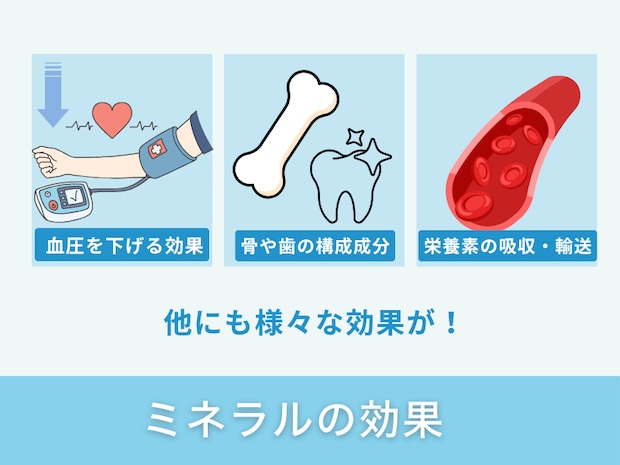 ミネラルの効果