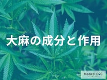 「大麻」が脳をハッキングする仕組みをご存知ですか? 身体で起きる危険な変化