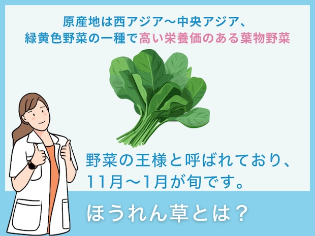 ほうれん草とは？