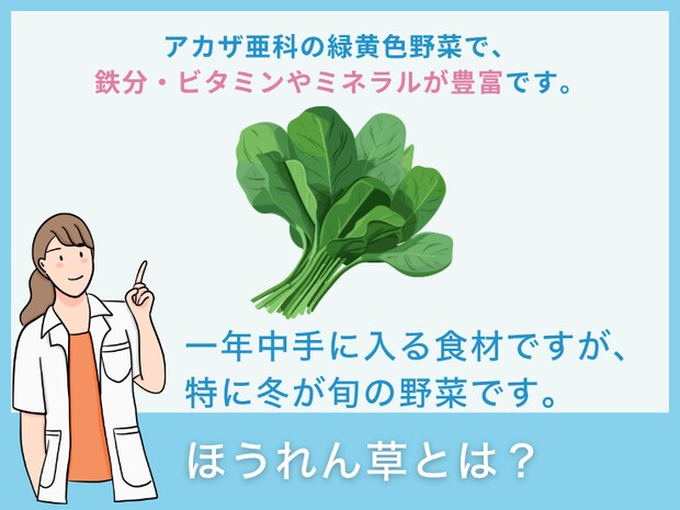 「ほうれん草」とは？