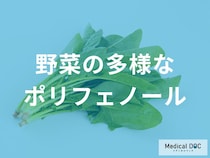 色とりどりの野菜に含まれる「多様なポリフェノール」の効果とは？管理栄養士が監修！