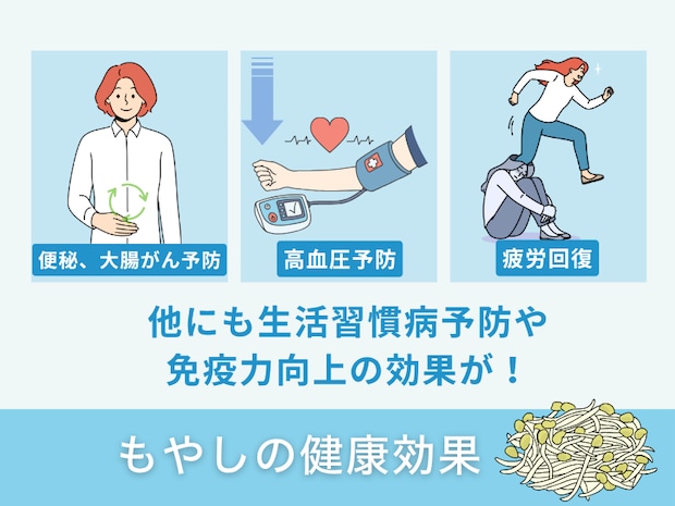 もやしの健康効果