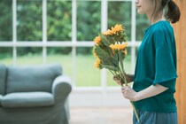 【闘病】風邪と診断された不調は｢全身性エリテマトーデス｣だった