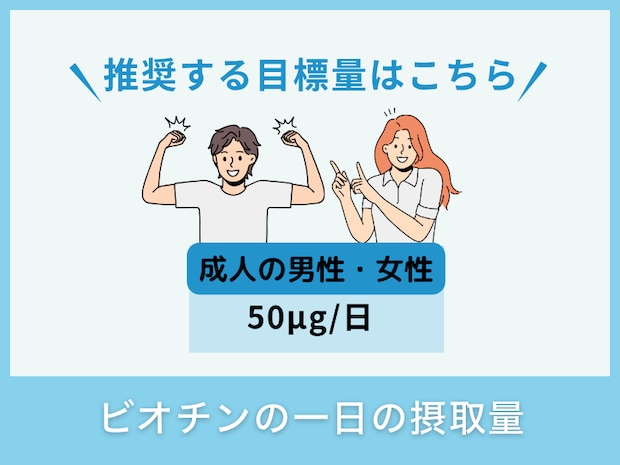 ビオチンの一日の摂取量