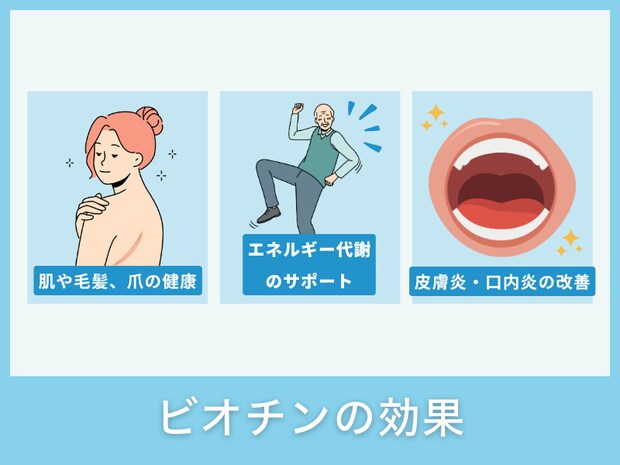 ビオチンの効果