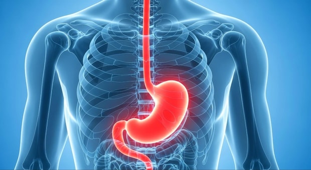 逆流性食道炎の基礎知識