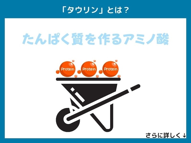 「タウリン」とは？