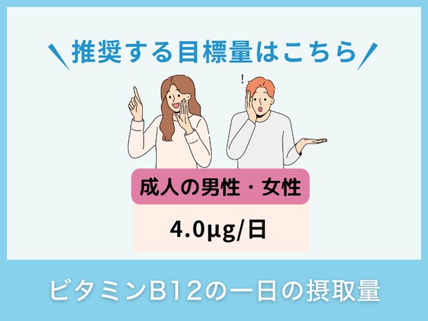 ビタミンB12の一日の摂取量