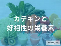 緑茶に〇〇を入れると抗酸化作用UP？「カテキンと相性の良い栄養素」を解説！