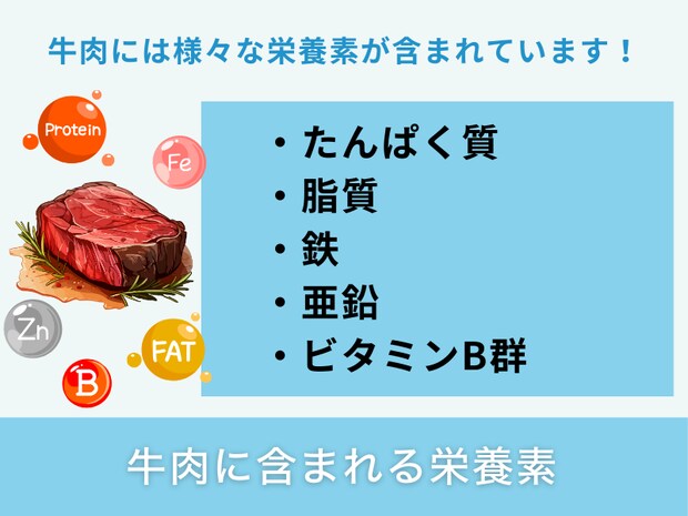 牛肉に含まれる栄養素