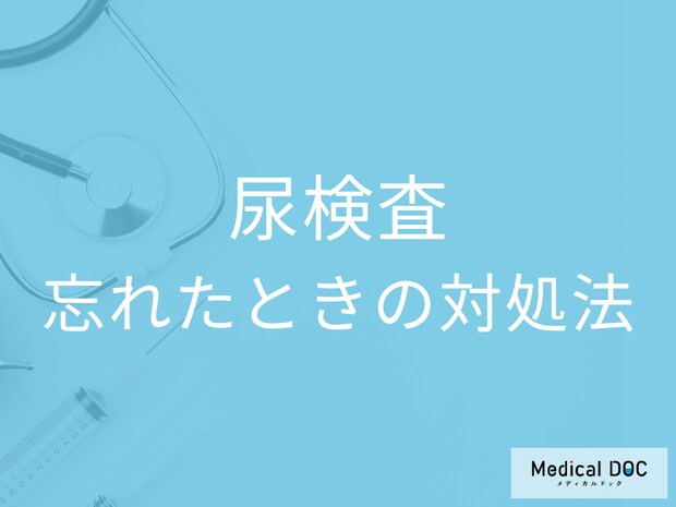 「尿検査」で採尿を忘れたときの対処法はご存じですか? 絶対に朝一の尿じゃなきゃダメ?【医師解説】