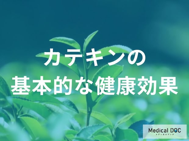 「カテキンは脂質・糖質にどんな影響がある」かご存じですか？効果について解説！