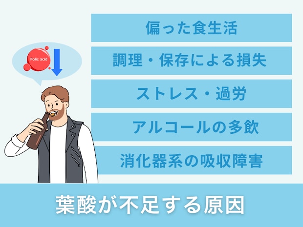 葉酸が不足する原因