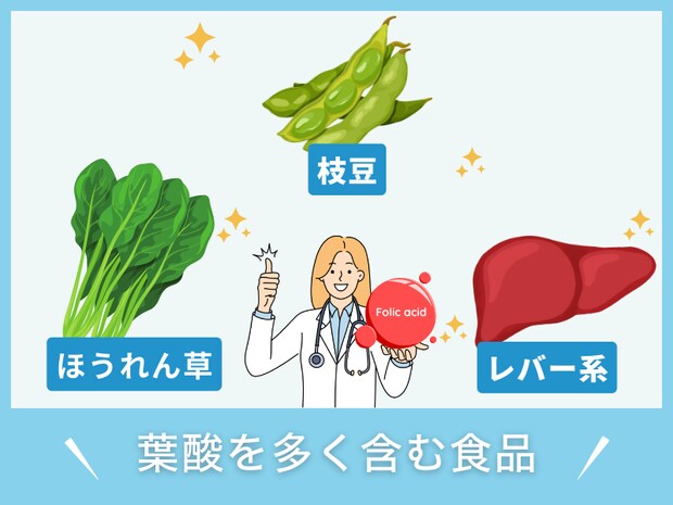 葉酸を多く含む食品