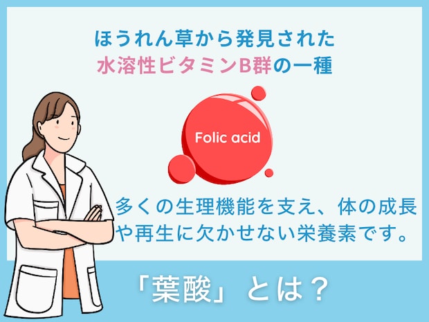 「葉酸」とは？