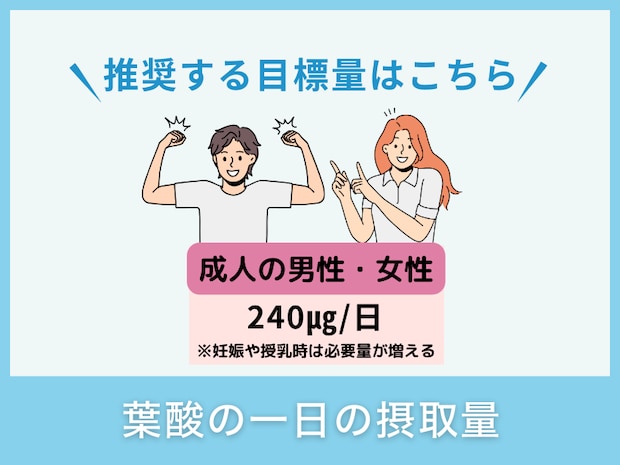 葉酸の一日の摂取量