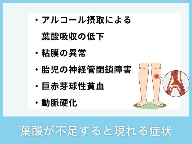 葉酸が不足すると現れる症状