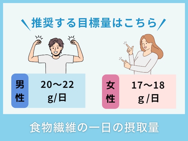 食物繊維の一日の摂取量