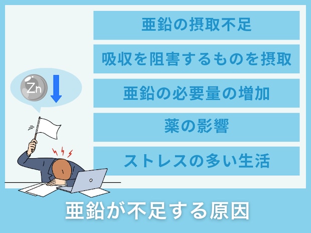 亜鉛が不足する原因