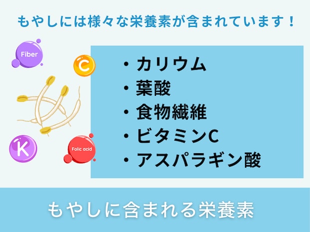 もやしに含まれる栄養素