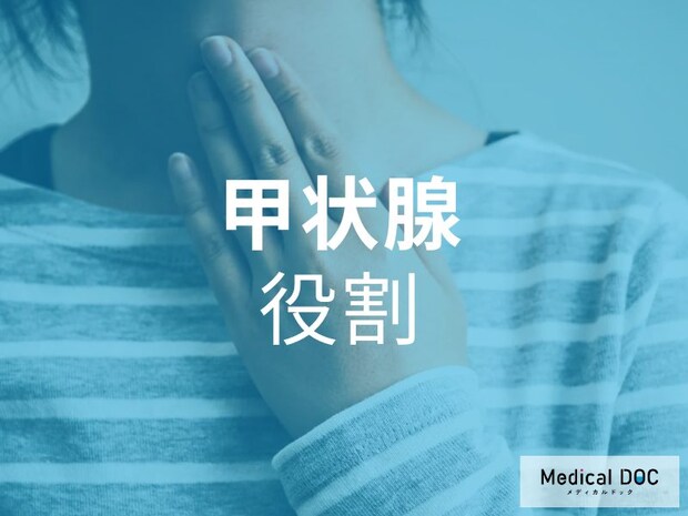 「甲状腺の不調」が全身に影響!? 甲状腺とはどんな役割をになっているのか? 【医師が解説】