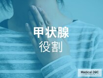 「甲状腺の不調」が全身に影響!? 甲状腺とはどんな役割をになっているのか? 【医師が解説】