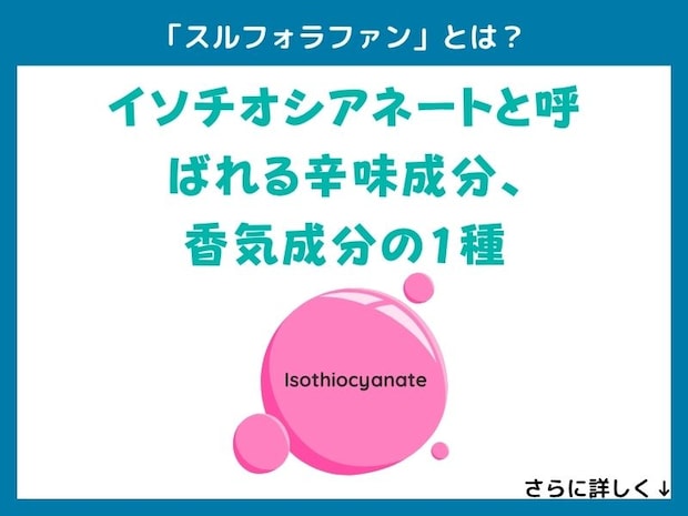 「スルフォラファン」とは？
