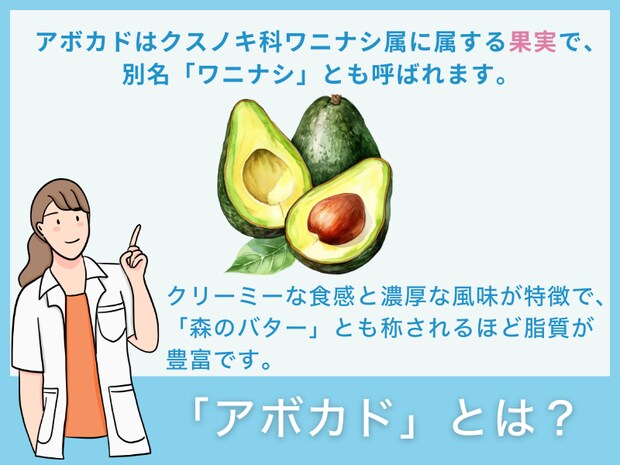 「アボカド」とは？