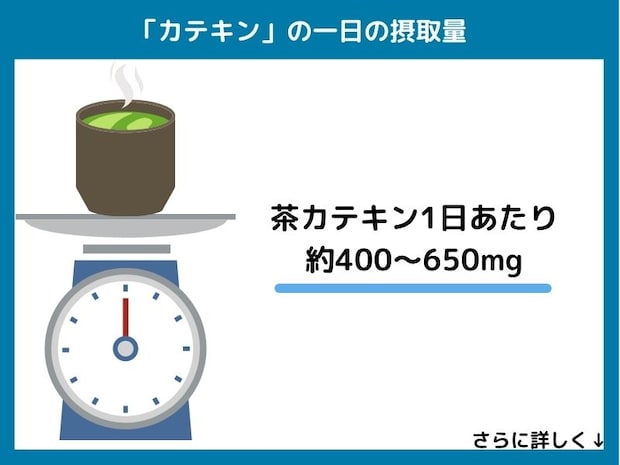 カテキンの一日の摂取量
