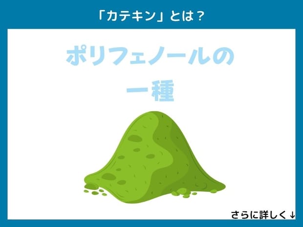 「カテキン」とは？