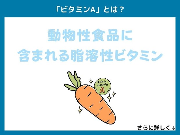 「ビタミンA」とは？