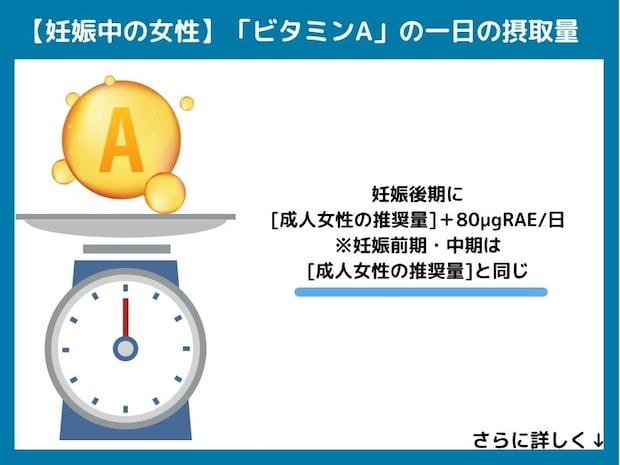 【妊娠中の女性】ビタミンAの一日の摂取量