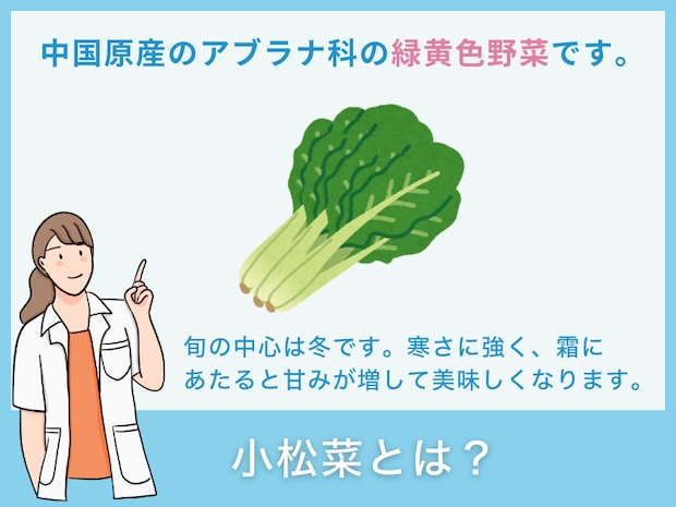 小松菜とは？