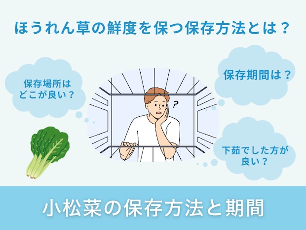 小松菜の保存方法と期間