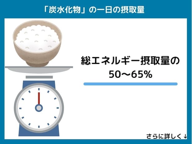 炭水化物の一日の摂取量